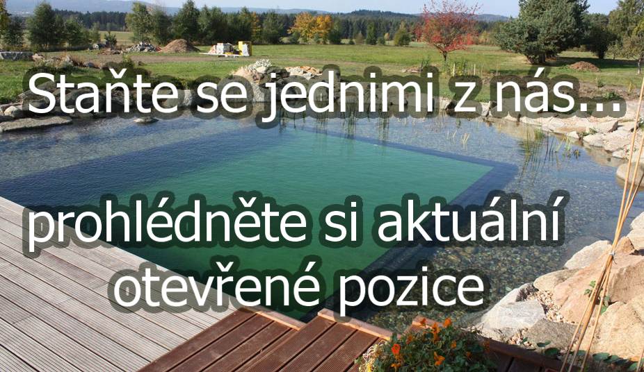Pracovní pozice
