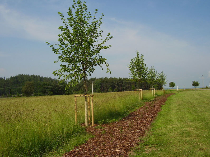 Krajinná
